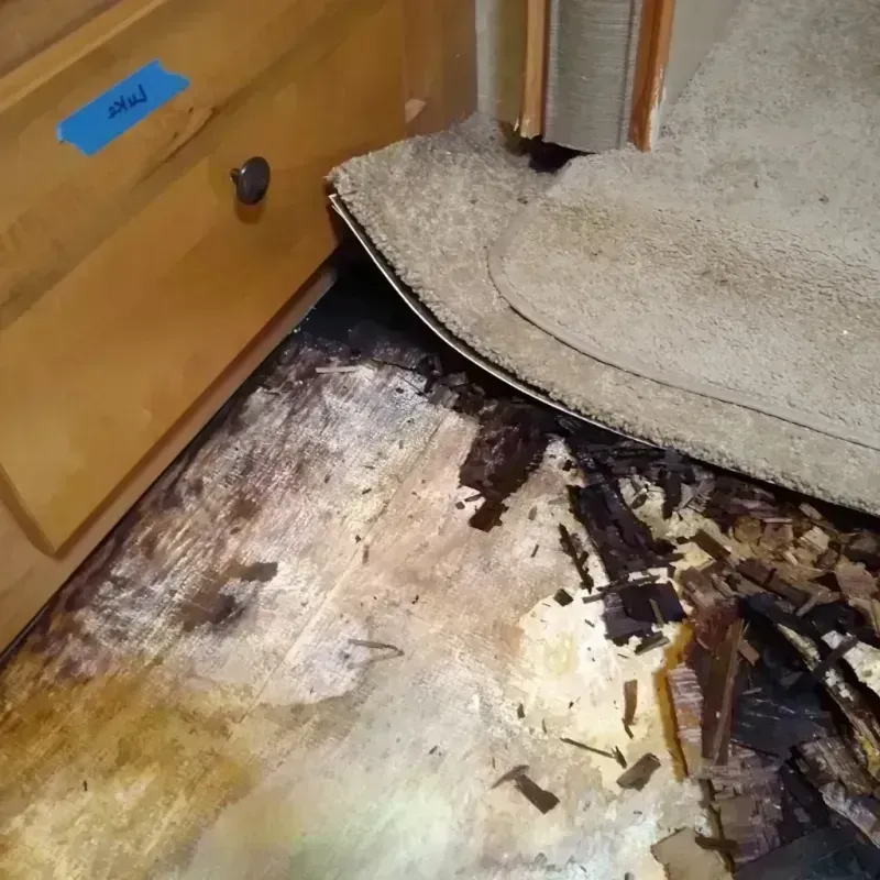 Wood Floor Water Damage in New Baltimore, VA